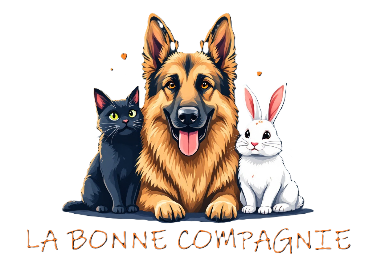 La bonne compagnie